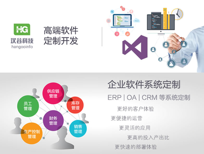 軟件定制開(kāi)發(fā)服務(wù) 企業(yè)軟件高端定制